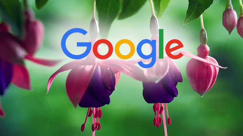 Google New Operating System Fuchsia