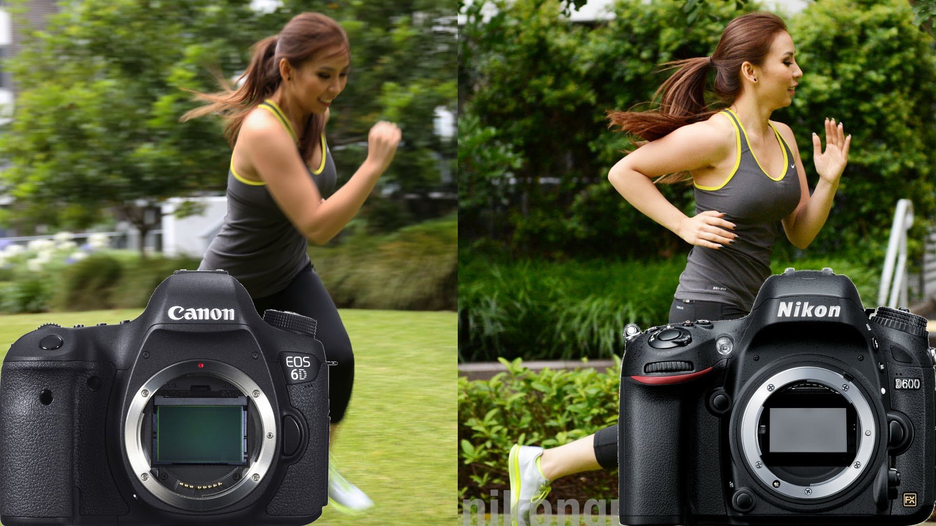 Canon nikon сравнение. Nikon d600 vs Canon 5d Mark III. Canon Mark 2 vs Nikon d600. Nikon d6 body.