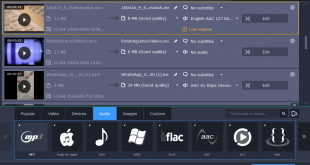 Understanding the Basics or Video Formats