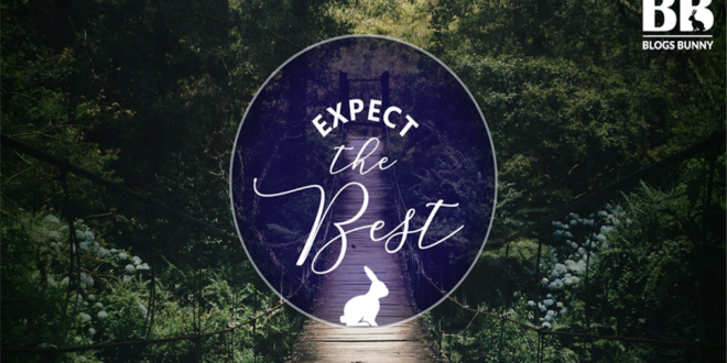 BlogsBunny: The Best Content Aggregator Platform on the Internet