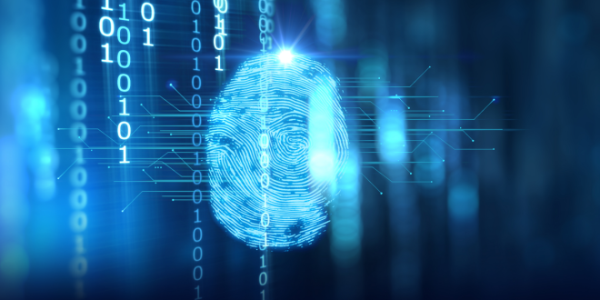 A different Perspective of Digital Transformation that will help you Get the most Out of your Business