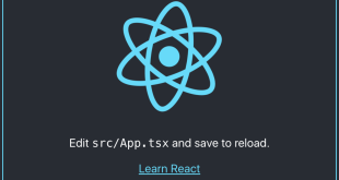 Top Open Source React Applications in 2022