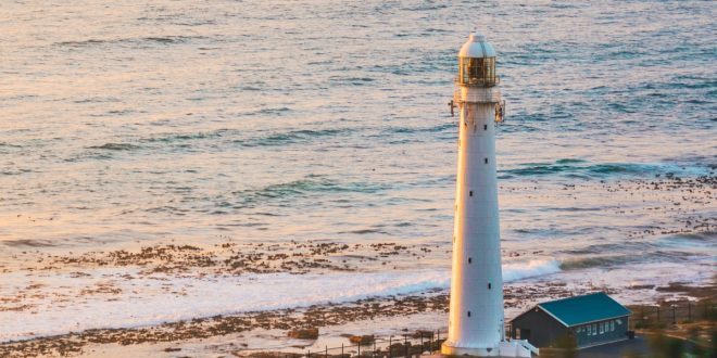 3 great ways to entertain yourself at sea