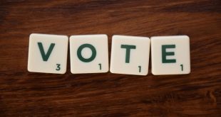 Benefits of Buying Contest Votes Online