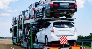 Car Transport Websites Taking the Internet by Storm