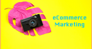 A Pocket Guide to eCommerce Marketing