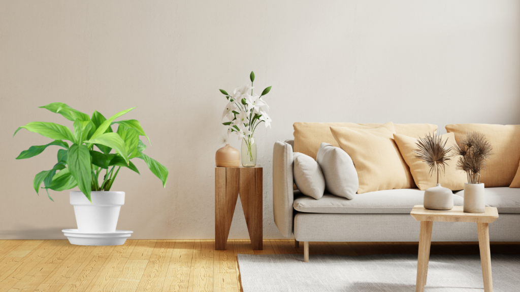 5 Tips for a Sustainable Condo Lifestyle