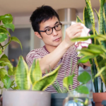 The Healing Power of Greenery Bringing Nature into Your Condo