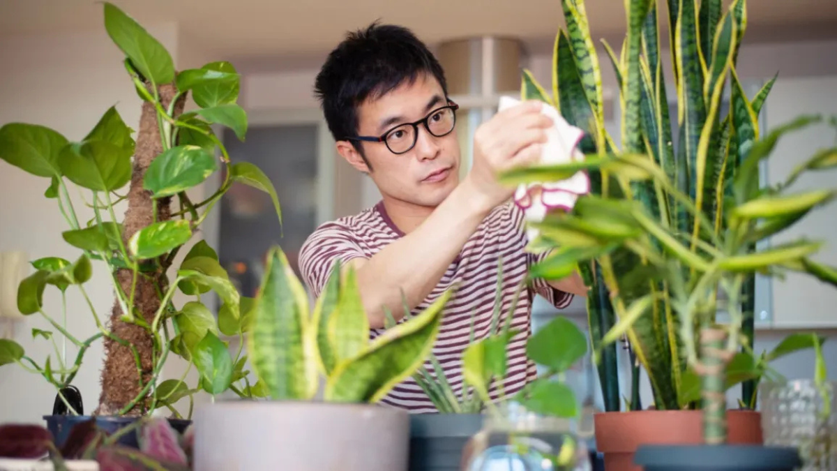 The Healing Power of Greenery Bringing Nature into Your Condo