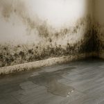 Flooded living room with visible mold on walls, emphasizing water damage and remediation services